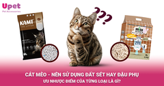 CÁT MÈO - NÊN SỬ DỤNG ĐẤT SÉT HAY ĐẬU PHỤ?