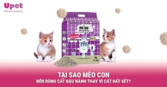 TẠI SAO MÈO CON NÊN DÙNG CÁT ĐẬU NÀNH THAY VÌ CÁT ĐẤT SÉT?