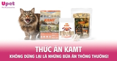 THỨC ĂN KAMT – KHÔNG DỪNG LẠI LÀ NHỮNG BỮA ĂN THÔNG THƯỜNG!