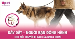 DÂY DẮT – NGƯỜI BẠN ĐỒNG HÀNH CHO MỖI CHUYẾN ĐI DẠO CỦA BẠN & BOSS!