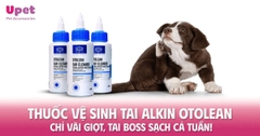 THUỐC VỆ SINH TAI ALKIN OTOLEAN – CHỈ VÀI GIỌT, TAI BOSS SẠCH CẢ TUẦN!
