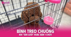 BÌNH TREO CHUỒNG – KHI 
