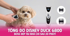 TÔNG ĐƠ DISNEY DUCK 6800 – BOSS ĐẸP TẠI NHÀ CHỈ SAU 20 PHÚT!