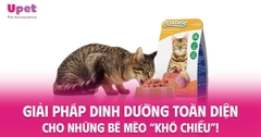 GIẢI PHÁP DINH DƯỠNG TOÀN DIỆN CHO NHỮNG BÉ MÈO “KHÓ CHIỀU”!