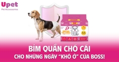 BỈM QUẦN CHÓ CÁI – CHO NHỮNG NGÀY “KHÓ Ở” CỦA BOSS!