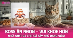 BOSS ĂN NGON - VUI KHOẺ HƠN NHỜ KAMT G6 THỊT GÀ SẤY KHÔ DẠNG VIÊN!