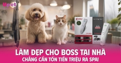 LÀM ĐẸP CHO BOSS TẠI NHÀ - CHẲNG CẦN TỐN TIỀN TRIỆU RA SPA!