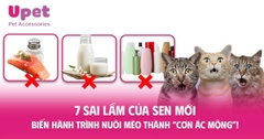 7 Sai Lầm Tai Hại Của Sen Mới - Biến Hành Trình Nuôi Mèo Thành “Cơn Ác Mộng”!