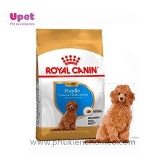 Thức ăn hạt cho chó Royal canin Poodle Junior