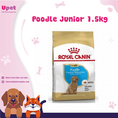 SP1819 -Poodle Junior 1.5kg