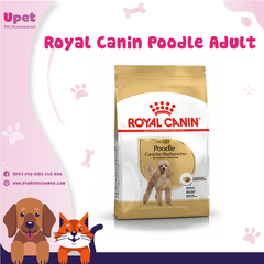 Thức ăn hạt cho chó Royal Canin Poodle Adult