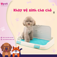 SP1552 - Khay vệ sinh cho chó có tường 46.5x35.5*5.5cm