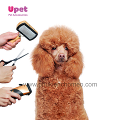 Spa Cạo Lông 6kg – 10kg - Dịch Vụ Không Tính Tắm Sấy Vệ Sinh