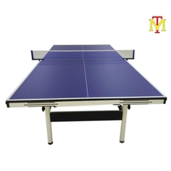 Bàn Bóng Bàn TT-005