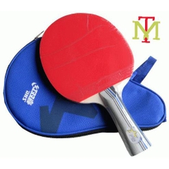 Vợt bóng bàn DHS 202