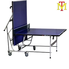 Bàn Bóng Bàn Double Fish DF-339