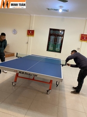 Bàn Bóng Bàn Song Ngư (Double Fish) 323