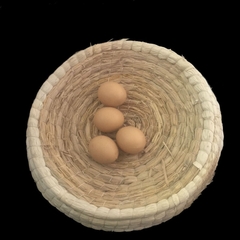 Trứng Gà giả