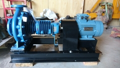 Bơm dầu truyền nhiệt Travaini