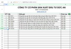 Cách đánh số thứ tự tự động khi lọc dữ liệu trong Excel