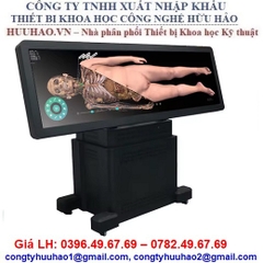 HỆ THỐNG MÔ PHỎNG GIẢI PHẪU CƠ THỂ NGƯỜI 3D
