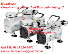 Bơm chân không không dầu V300