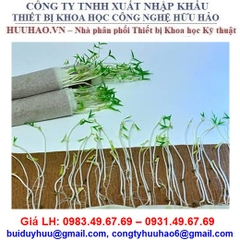 GIẤY NẢY MẦM HẠT (HẤP THỤ CAO) S-125HA