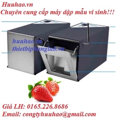 Máy dập mẫu vi sinh HG 400 WIGGENS