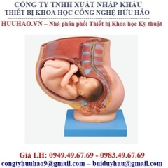 BẢNG GIÁ MÔ HÌNH GIẢNG DẠY THỰC HÀNH SẢN KHOA