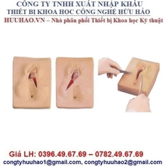 MÔ HÌNH MÔ PHỎNG KHÂU TẦNG SINH MÔN GD/F3B