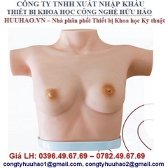 MÔ HÌNH THỰC HÀNH KIỂM TRA VÚ NÂNG CAO