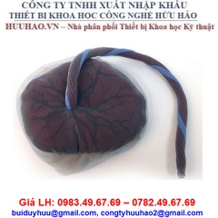 MÔ HÌNH BÁNH NHAU THAI R10071 ERLER ZIMMER