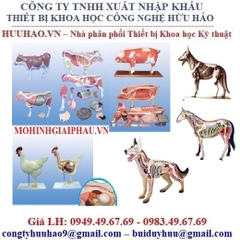 BẢNG GIÁ MÔ HÌNH GIẢNG DẠY BỘ MÔN THÚ Y