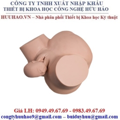 MÔ HÌNH THỰC TẬP ĐỠ ĐẺ GD/F8 HONGLIAN