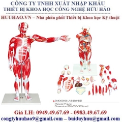 DANH SÁCH MÔ HÌNH THỰC HÀNH Y DƯỢC HÃNG SUZHOU