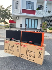 Loa Karaoke Xách Tay COK ST-6868 Bass Đôi 20cm 500w