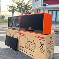 Loa Karaoke Xách Tay COK ST-6868 Bass Đôi 20cm 500w