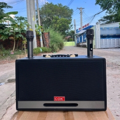 Loa Karaoke Xách Tay COK ST-6868 Bass Đôi 20cm 500w