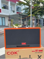 Loa Karaoke Xách Tay COK ST-6868 Bass Đôi 20cm 500w