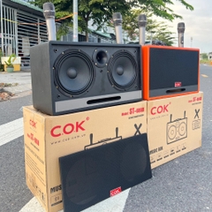 Loa Karaoke Xách Tay COK ST-6868 Bass Đôi 20cm 500w