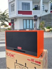 Loa Karaoke Xách Tay COK ST-6868 Bass Đôi 20cm 500w
