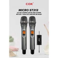 Micro Không Dây COK ST-313