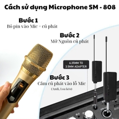 Micro Không Dây Hát Karaoke - Cam Kết Hàng Chính Hãng 100%