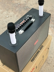 Loa Karaoke Xách Tay COK ST-226 Bass Đôi 20cm 500w