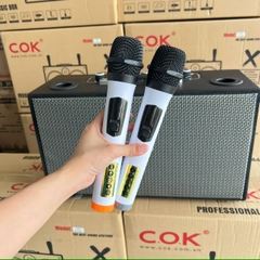 Loa Karaoke Xách Tay COK ST-226 Bass Đôi 20cm 500w