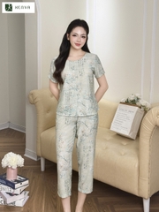 Bộ set 5 cúc tàu TT