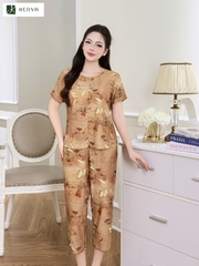 Bộ set 5 cúc tàu TT