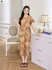 Bộ set 5 cúc tàu TT