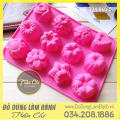 Khuôn silicone vỉ Hoa hình đủ loại 12c (VT1235)