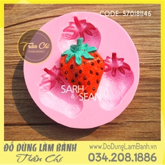 Khuôn silicone Trái DÂU TÂY 3C LỚN